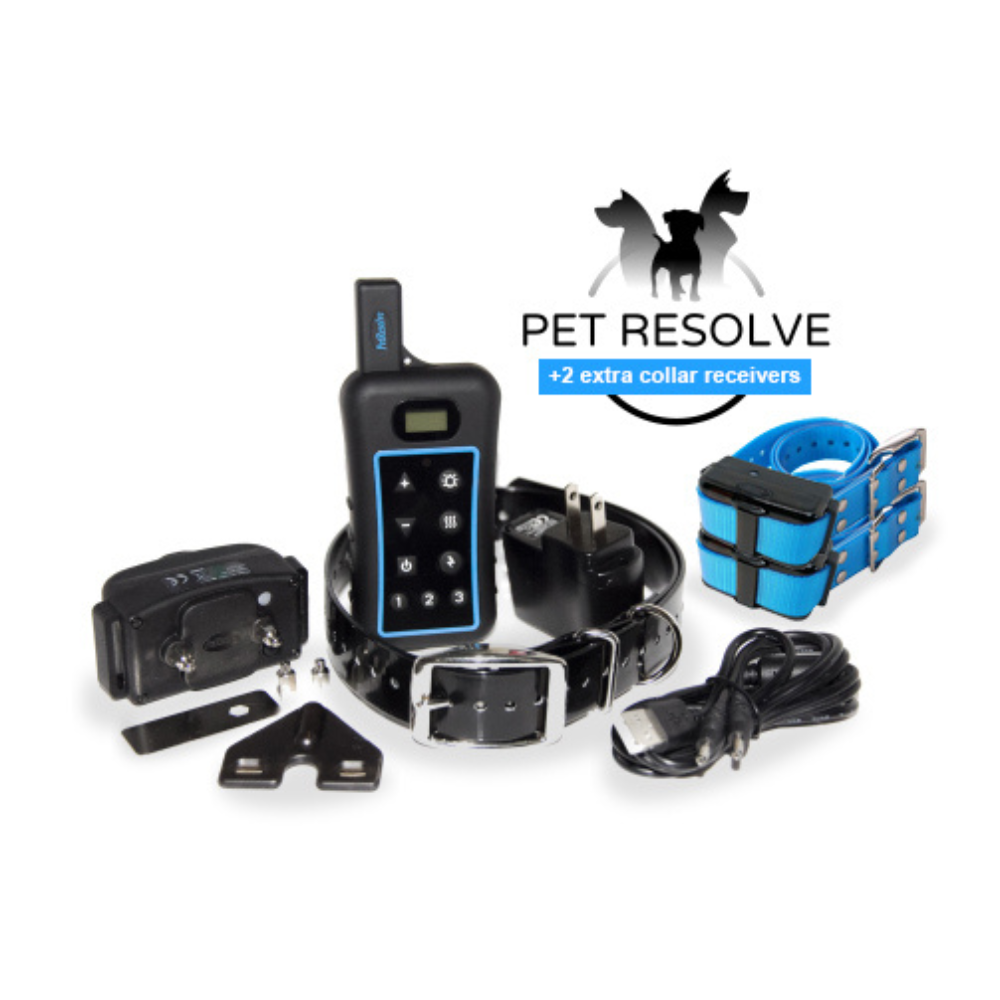 2 dog training collar system deals
