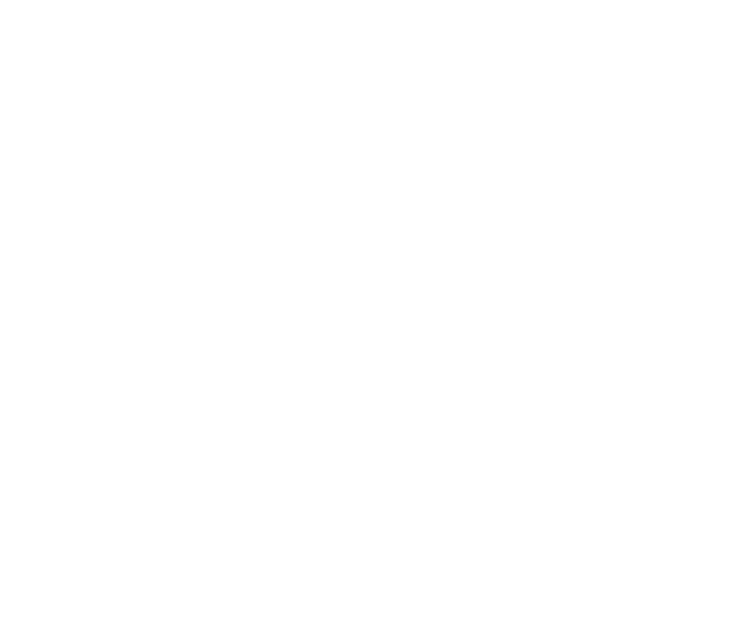 Pet resolve training deals collar